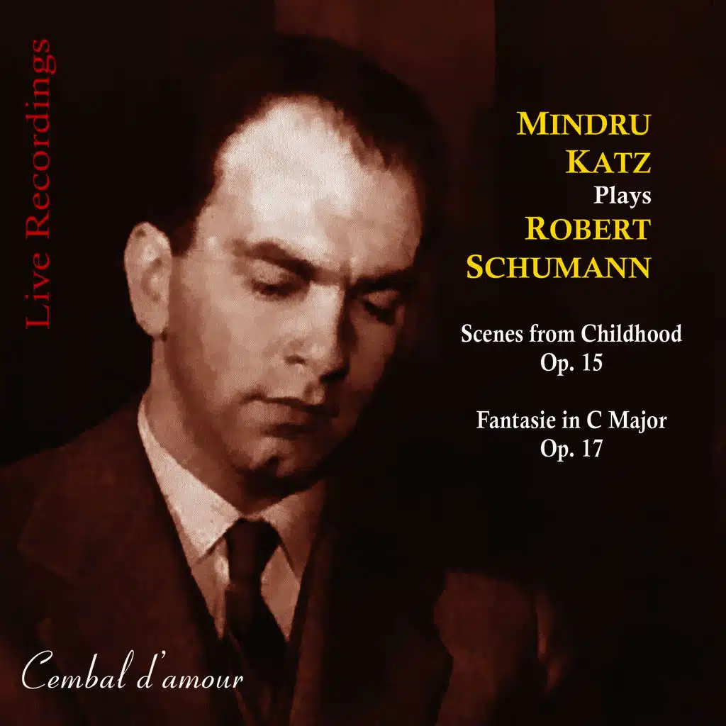Kinderszenen, Op. 15 (Scenes from Childhood): Wichtige Begebenheit         (Important Event)