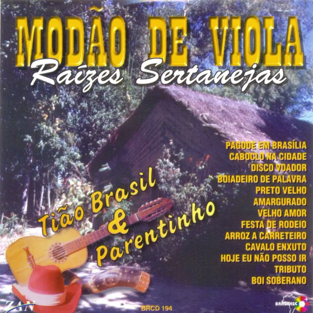 Pagode em Brasília