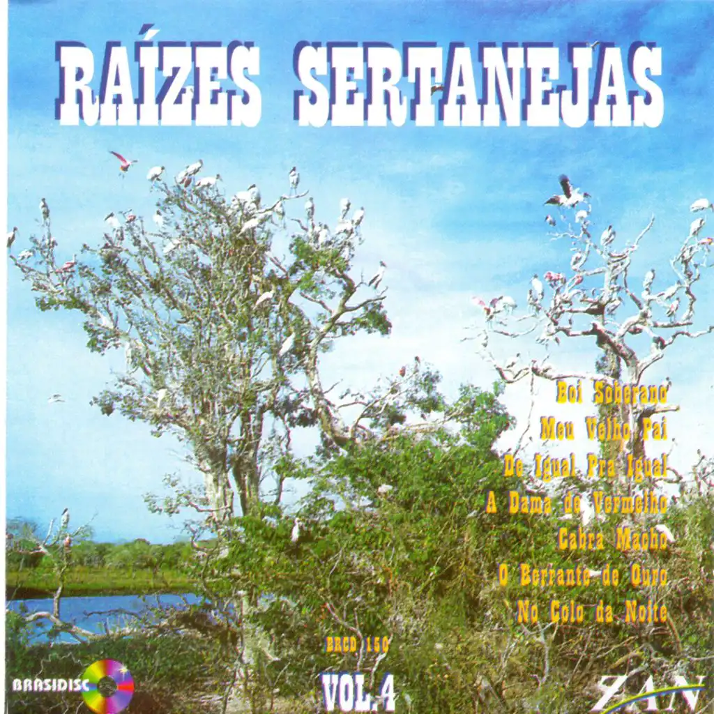 Raízes Sertanejas: Vol. 4