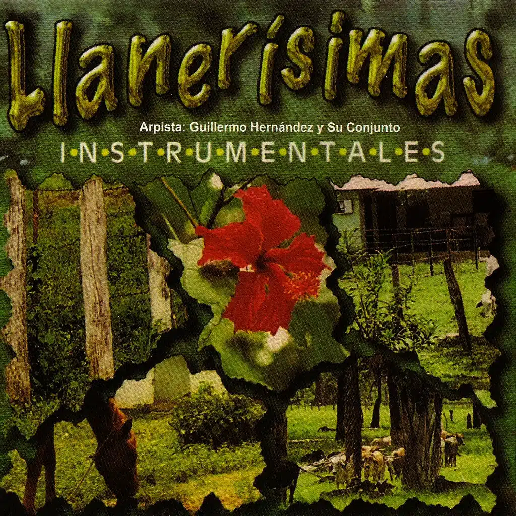 Llanerisimas
