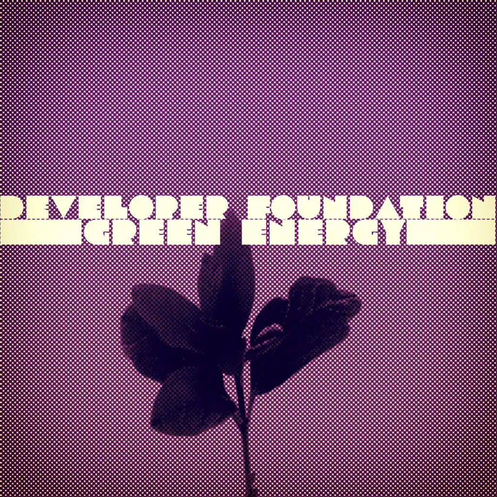 Developer Foundation