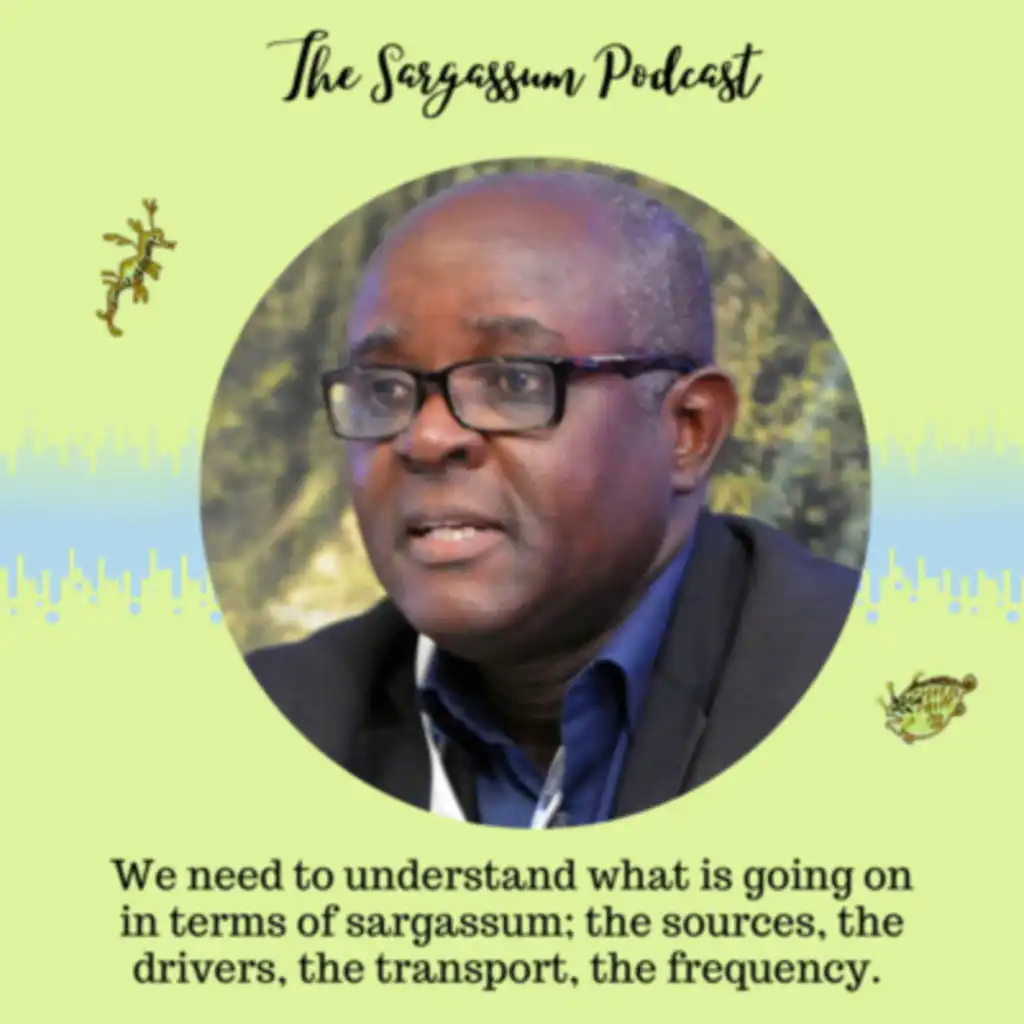 Ep34: Sargassum Networking in West Africa with Professor Kwasi Appeaning Addo