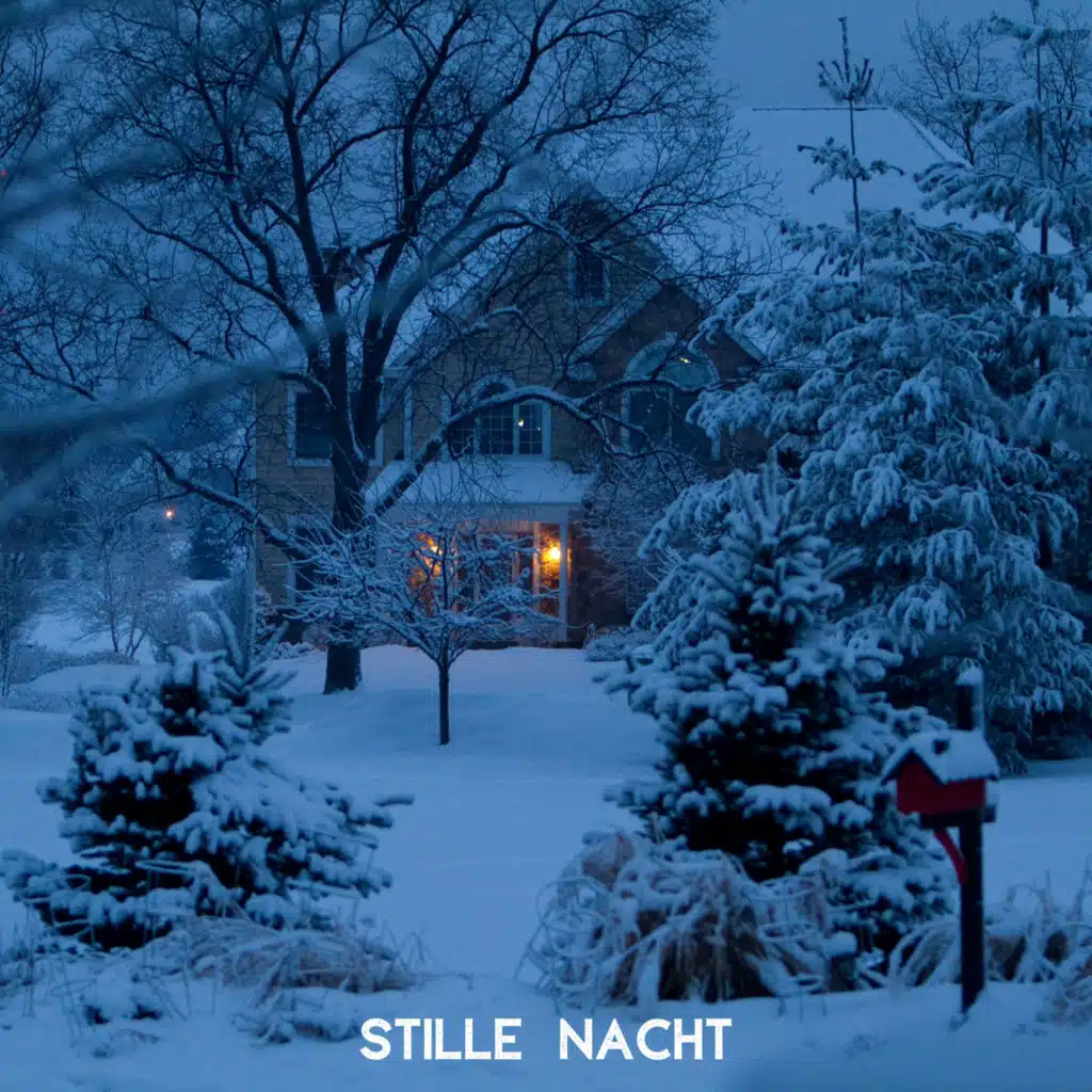 Stille Nacht (Silent Night) (Christmas Songs Instrumental, German Christmas Songs, Relaxing Jazz Notes,Classic Christmas Song,Relaxing,Tranquility Music, Christmas Meditation)