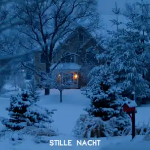 Stille Nacht (Silent Night) (Christmas Songs Instrumental, German Christmas Songs, Relaxing Jazz Notes,Classic Christmas Song,Relaxing,Tranquility Music, Christmas Meditation)
