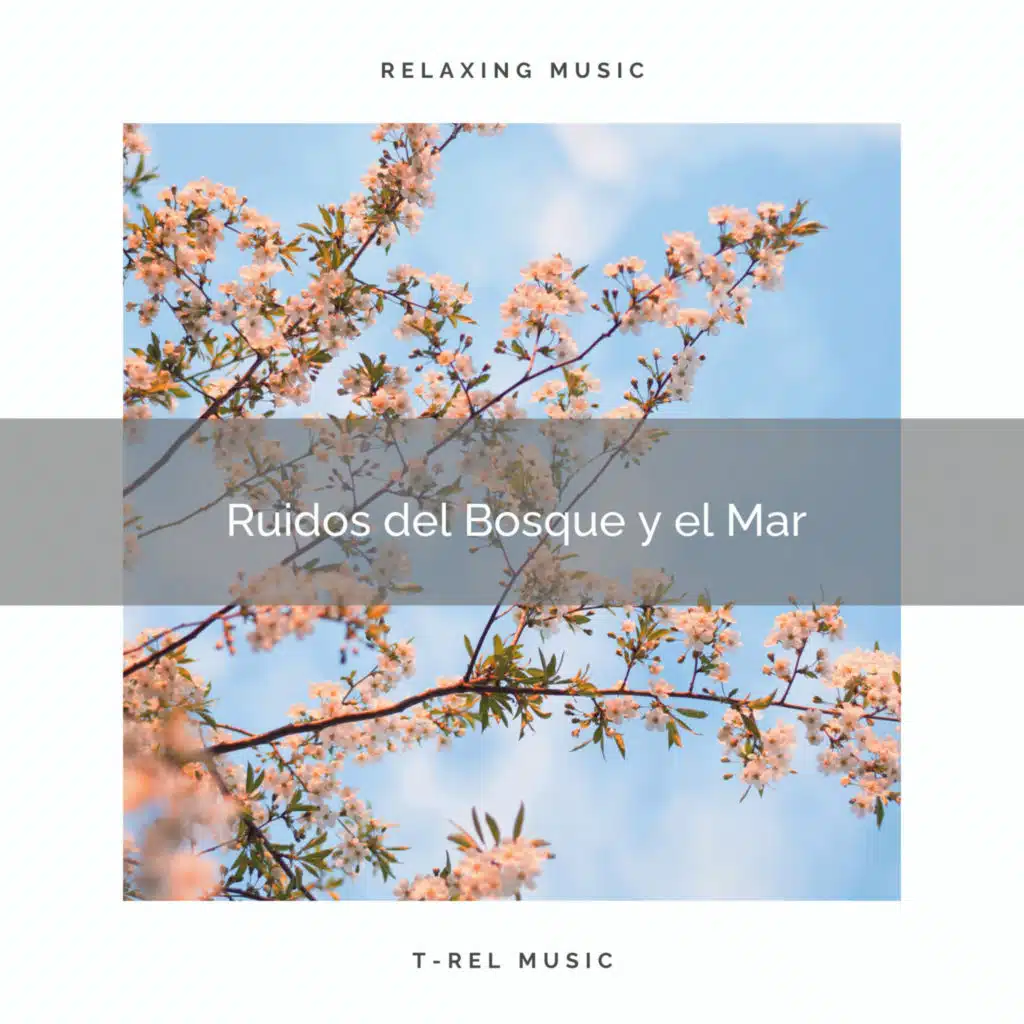 Música ambiental relajante & Música de la Naturaleza