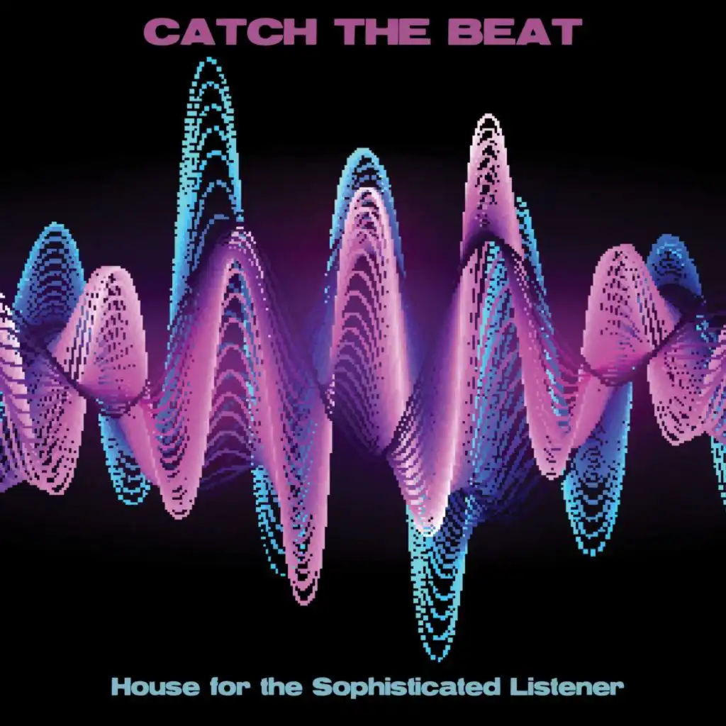 Catch the Beat: House for the Sophisticated Listener