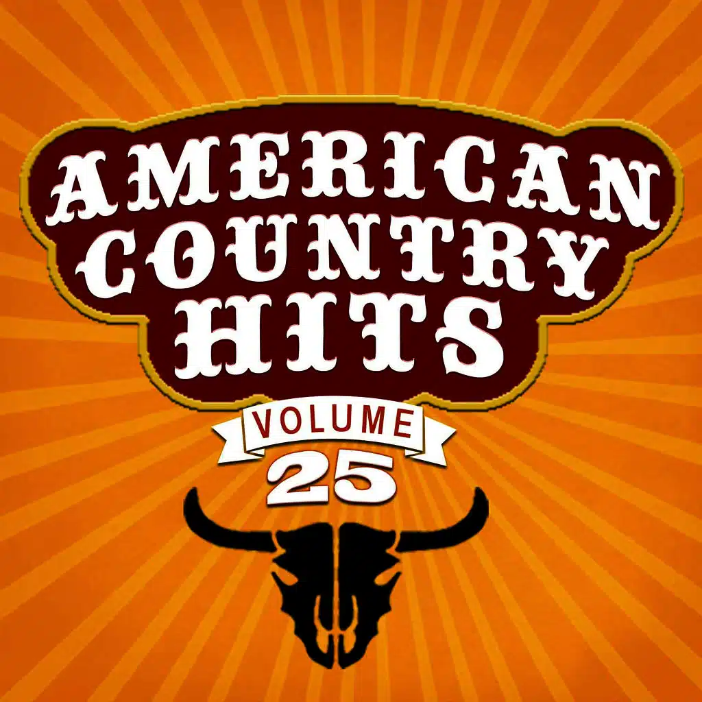 Today's Top Country Hits, Vol. 25