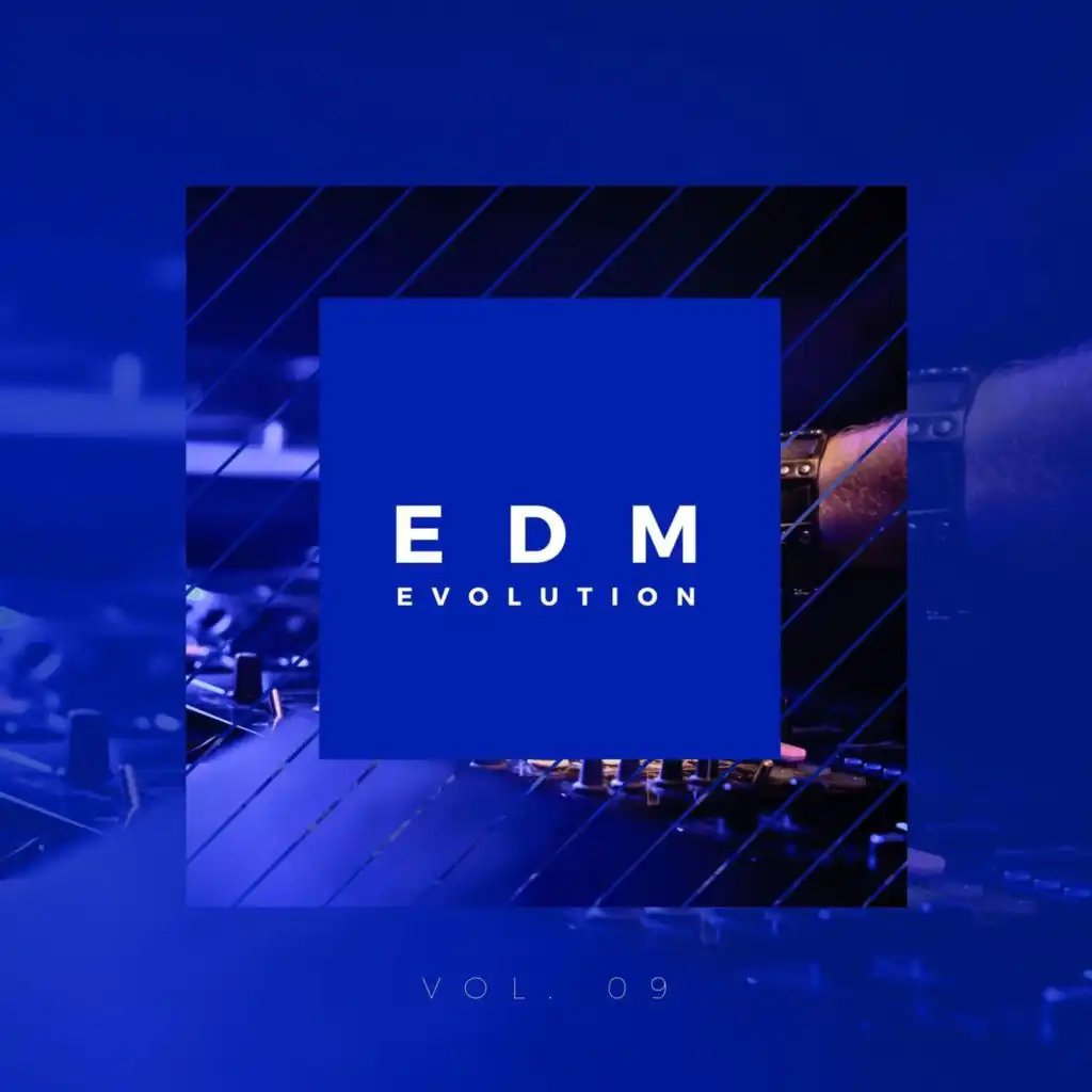 EDM Evolution - Vol. 09