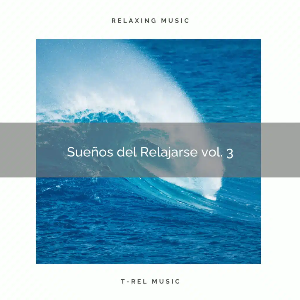 1 Sueños del Relajarse vol. 3