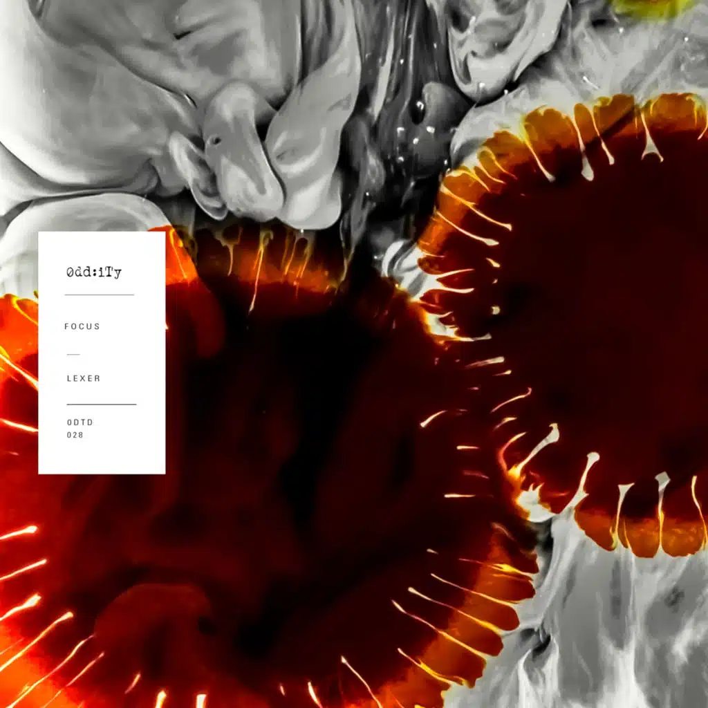 Focus (Jonas Saalbach Remix)