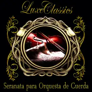 Serenata para Orquesta de Cuerdas en E Minor, Op. 20: Allegro Piacevole