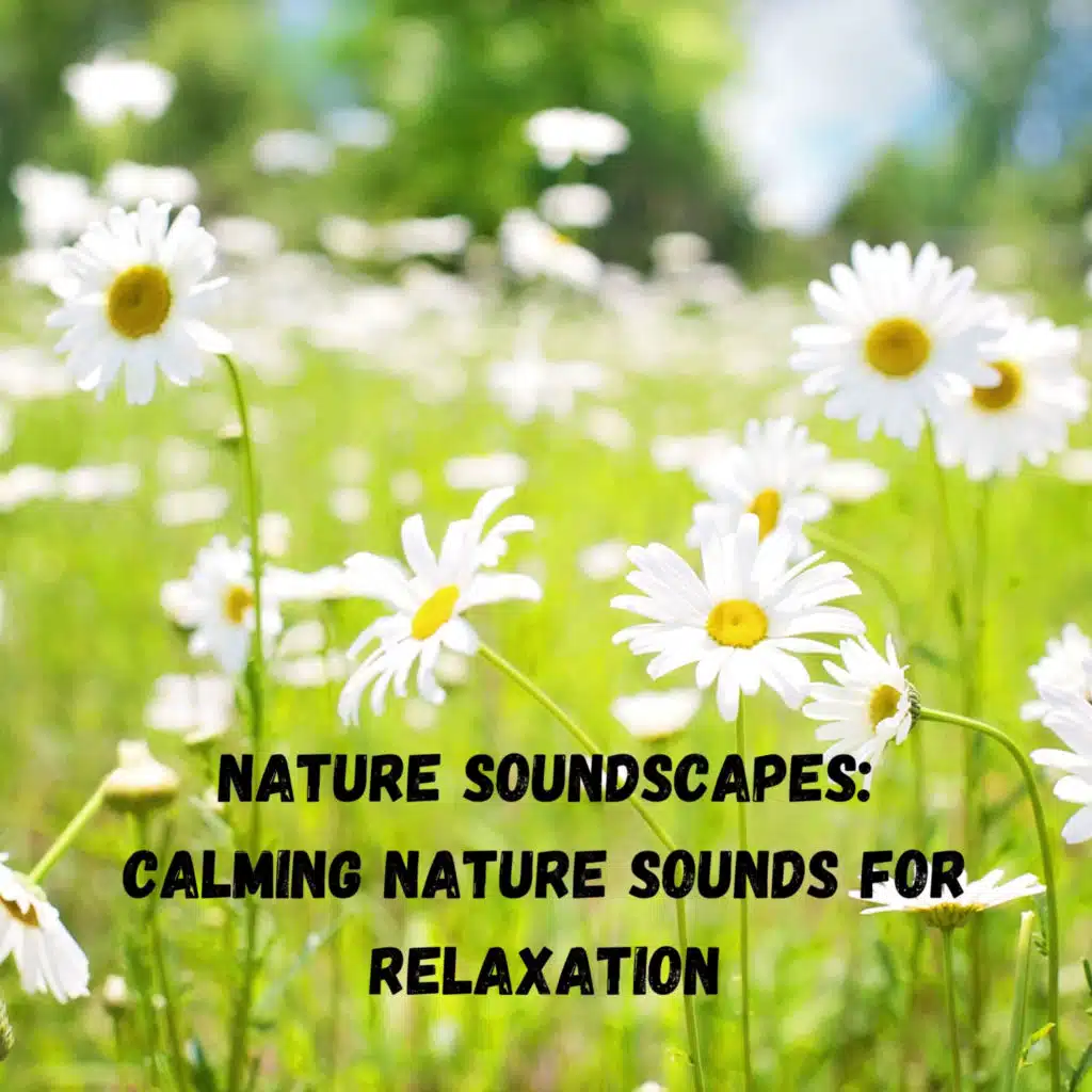 Weather and Nature Recordings & amazing Spa Experience