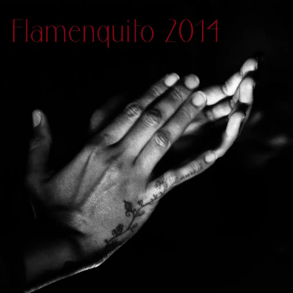Flamenquito 2014