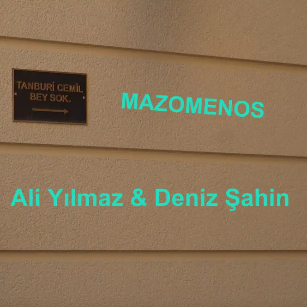 Ali Yılmaz & Deniz Şahin