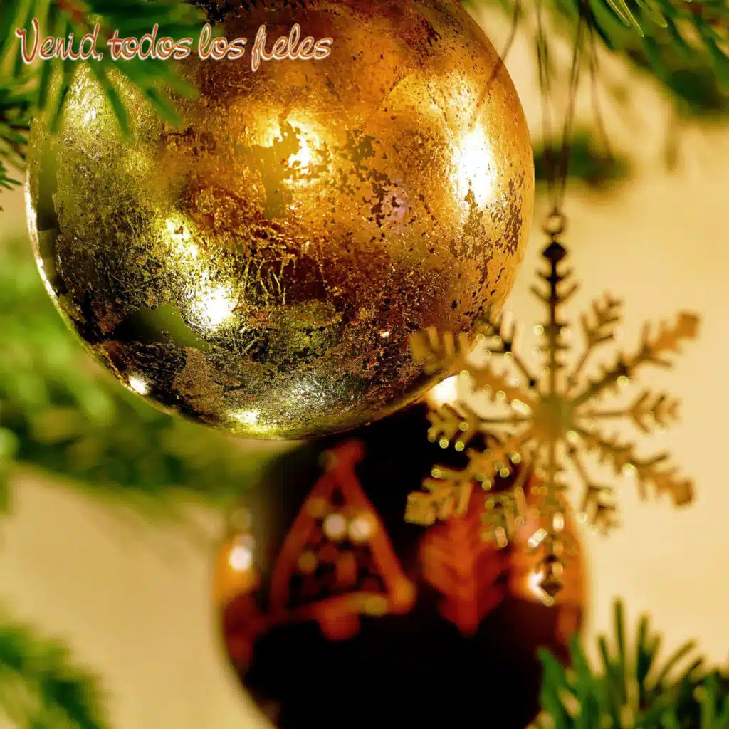 Venid, todos los fieles