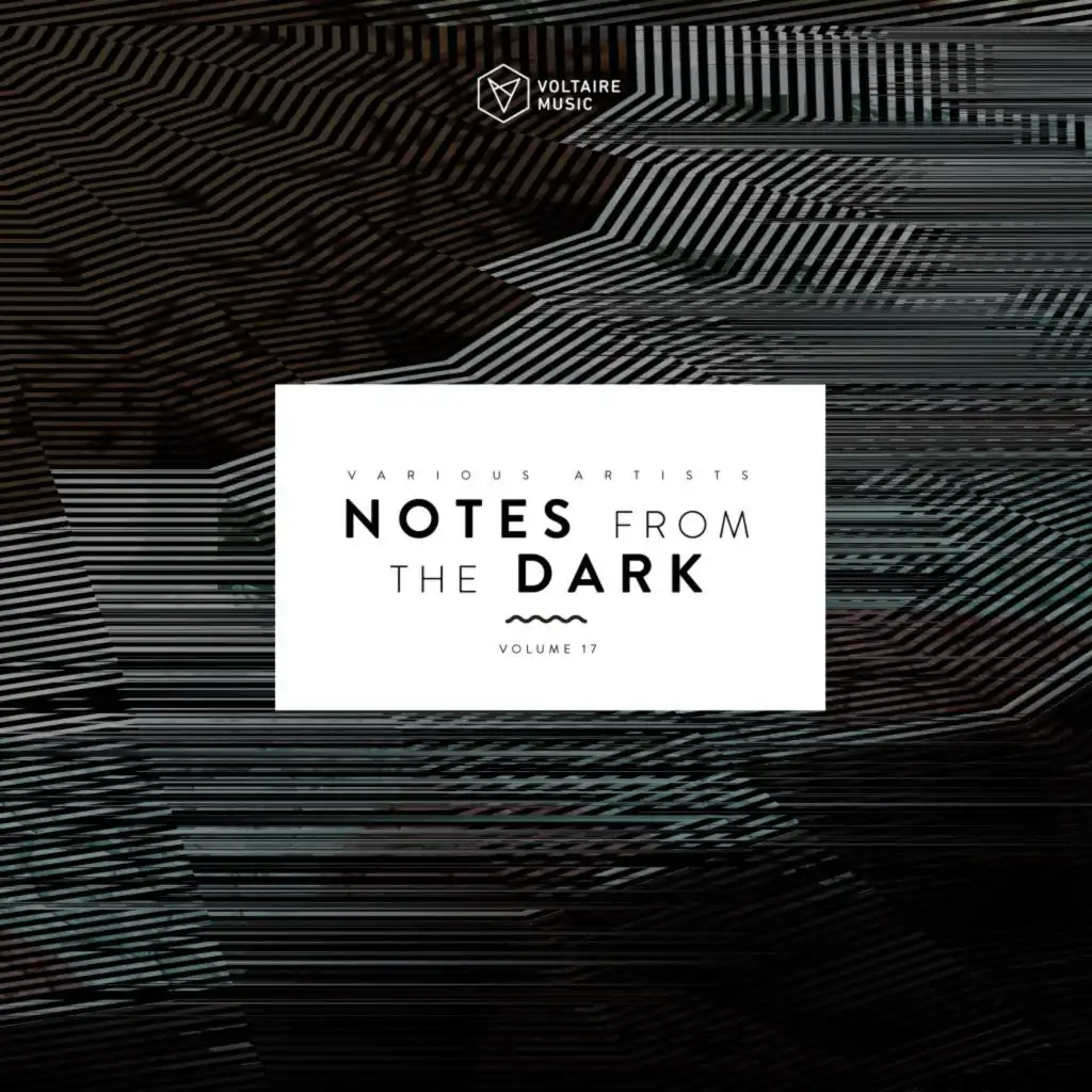 Notes from the Dark, Vol. 17