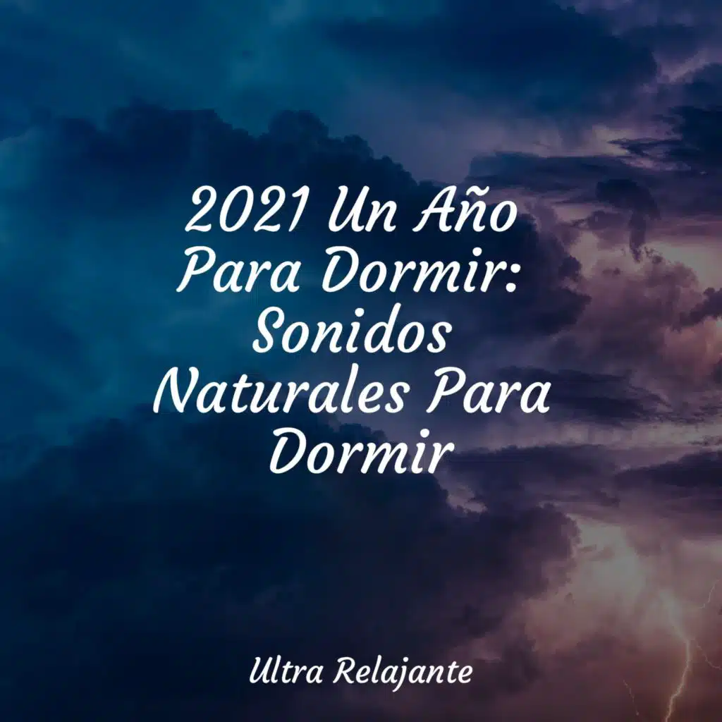 Perdido en El Paraíso