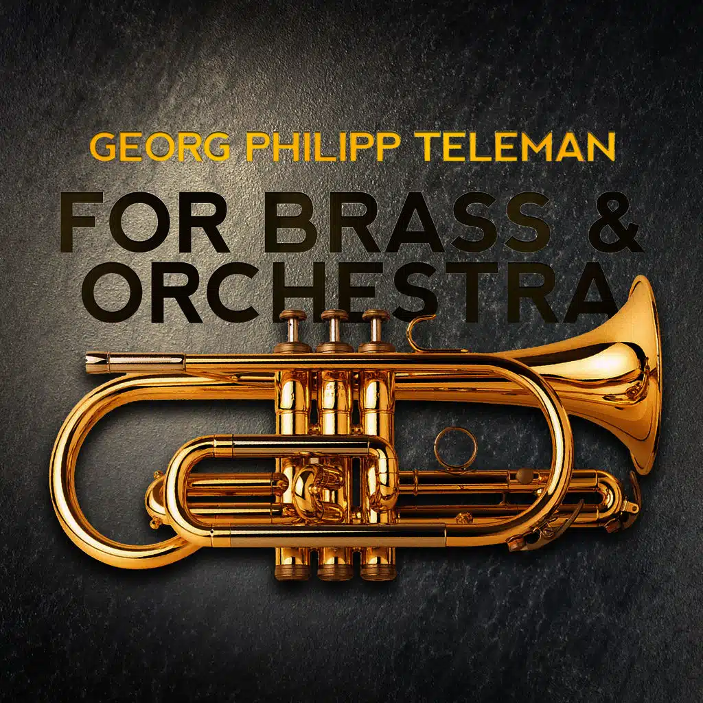 Mainz Chamber Orchestra