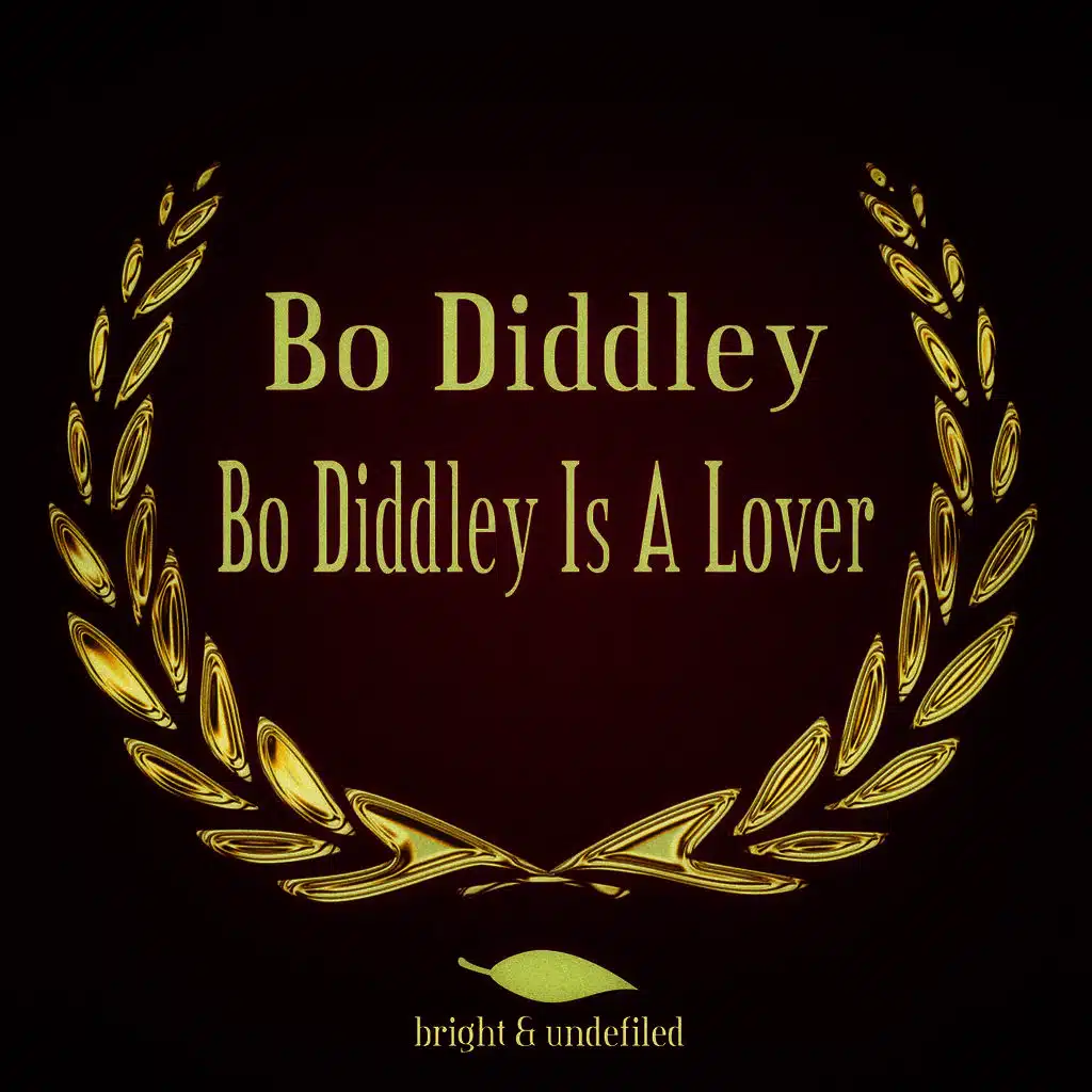 Bo Diddley Is a Lover