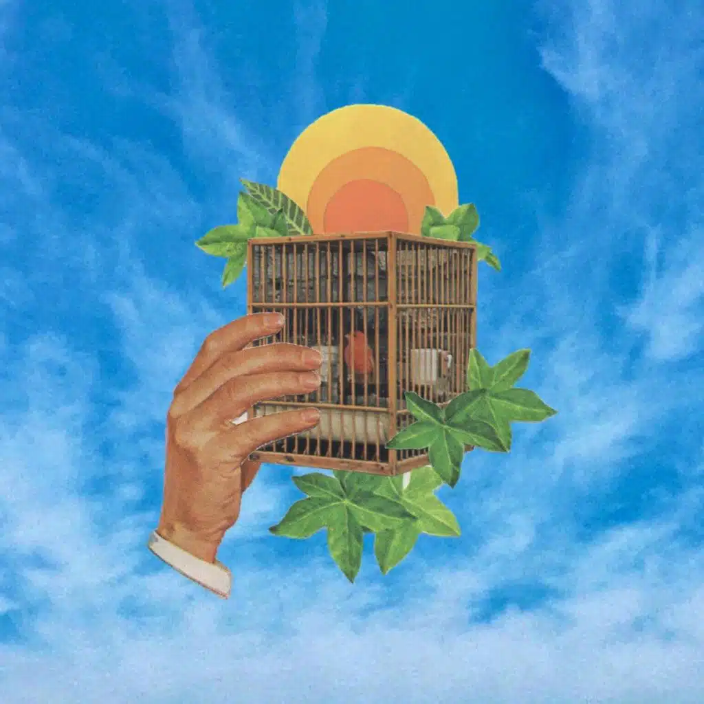 For The Caged Birds