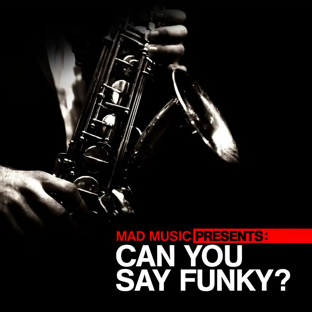 Mad Music Presents Can You Say Funky?