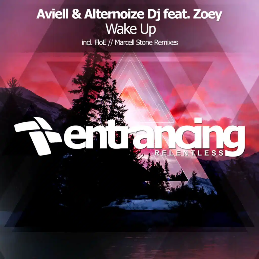 Aviell, Alternoize Dj