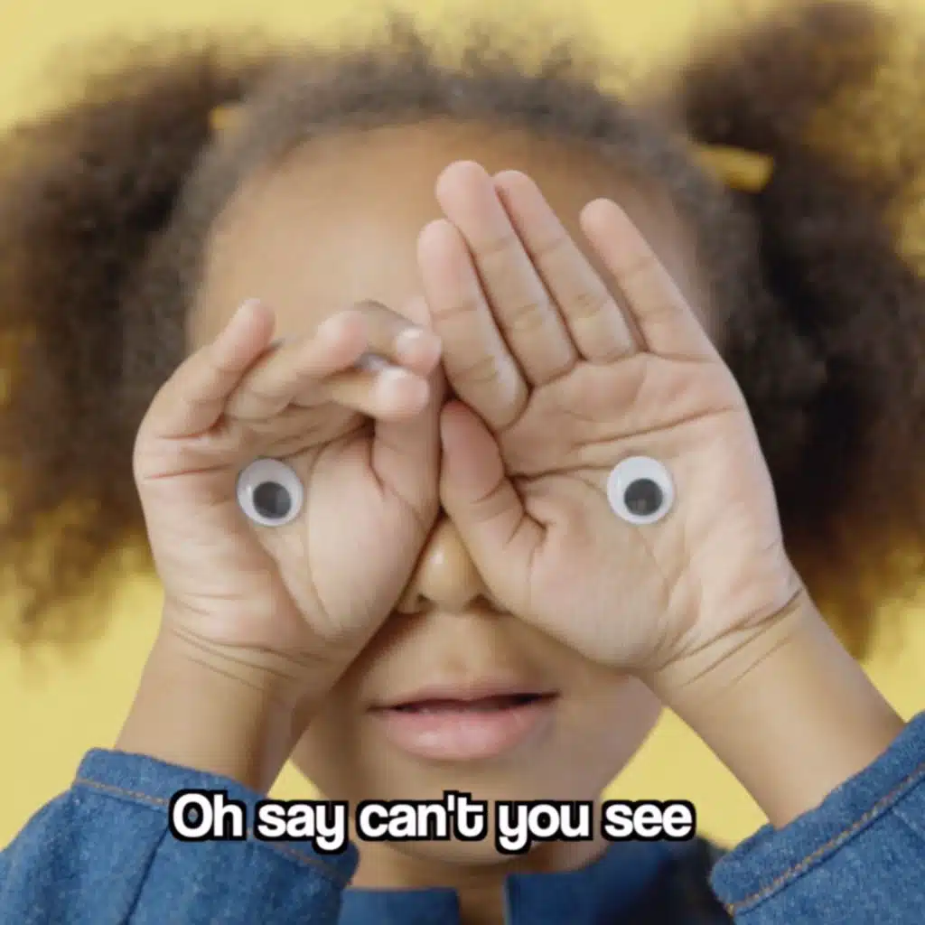 Oh Say Can't You See