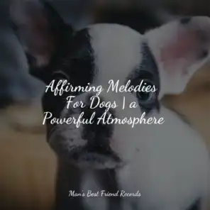 Calming Music for Dogs, Dog Music & Music for Dogs Collective