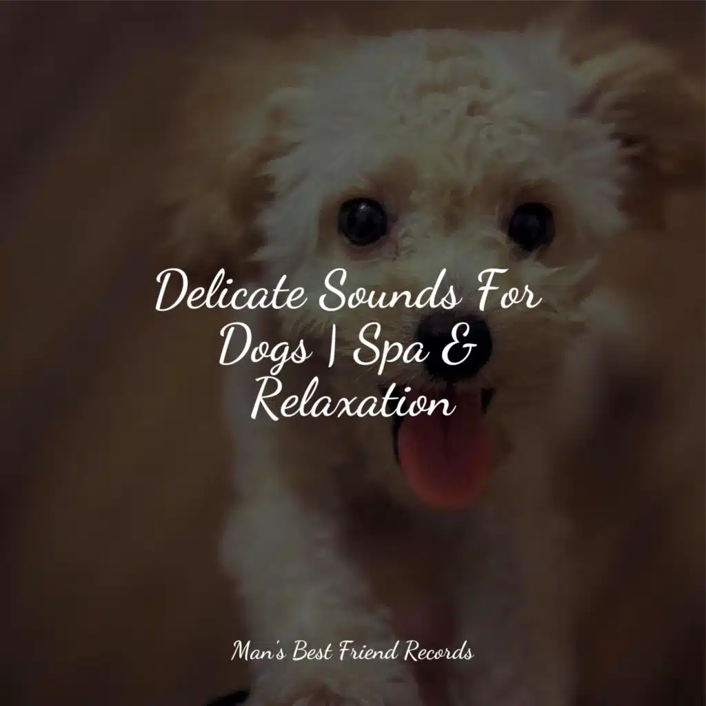 Relaxation Music For Dogs, Calming Music for Dogs & Pet Care Music Therapy