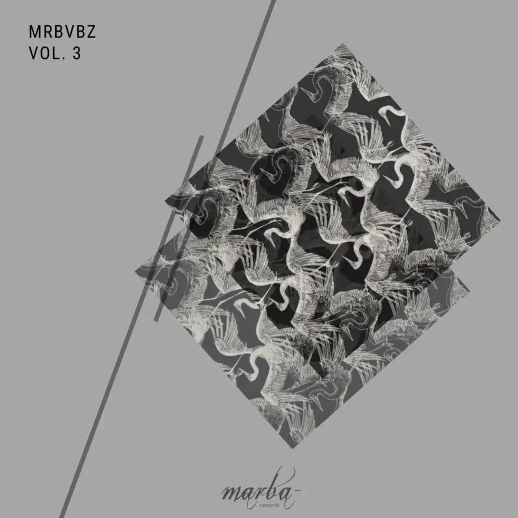 MRBVBZ, Vol. 3