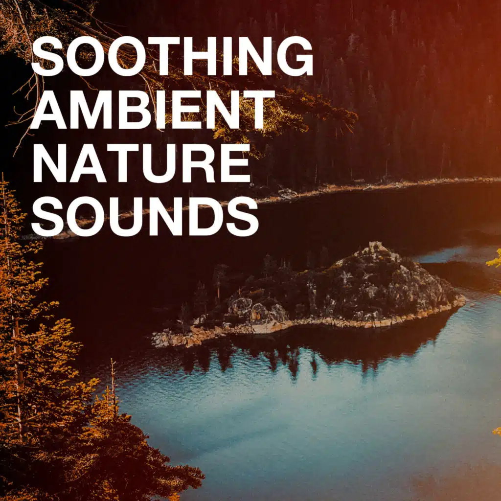Sounds of Nature White Noise for Mindfulness Meditation and Relaxation