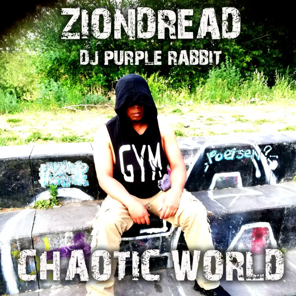 Missing Chomosone (DJ Purple Rabbit Remix) [feat. ZIondread]