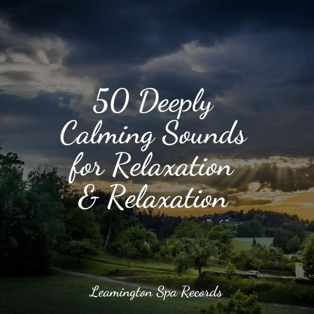 50 Deeply Calming Sounds for Relaxation & Relaxation by Study Music