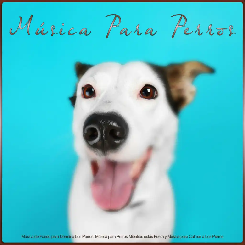 Música Instrumental para Perros