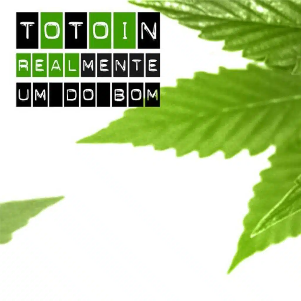Totoin