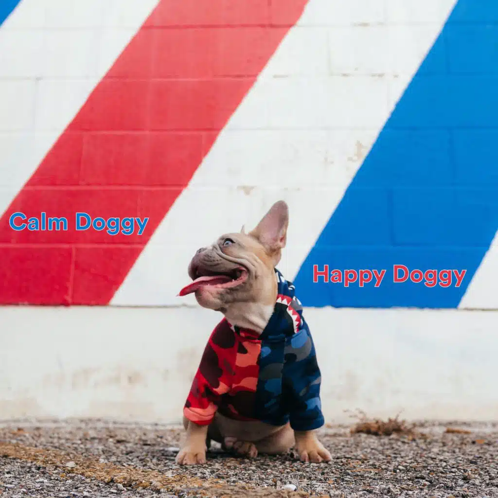Calm Doggy Happy Doggy