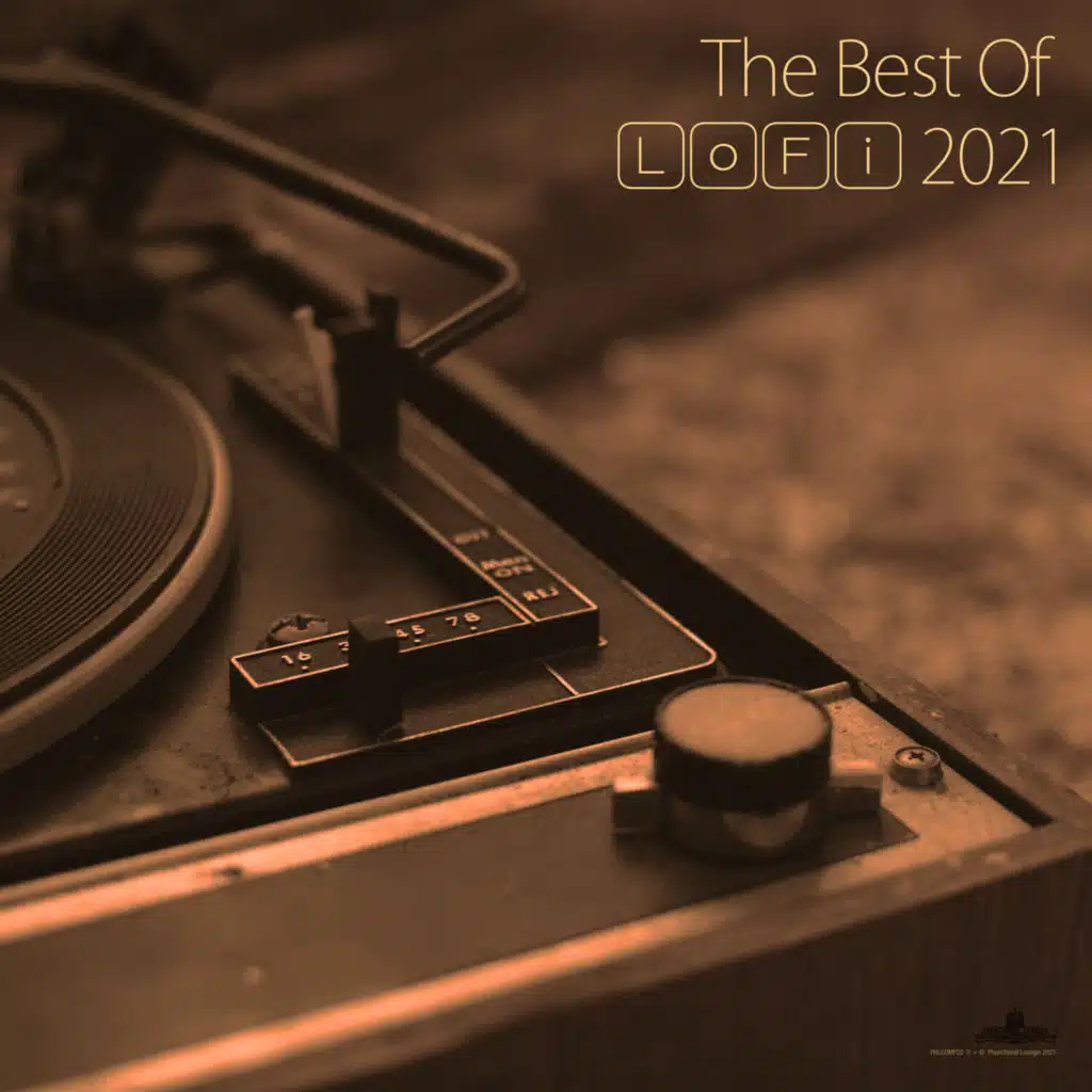 The Best Of LoFi 2021 (Extended Version)