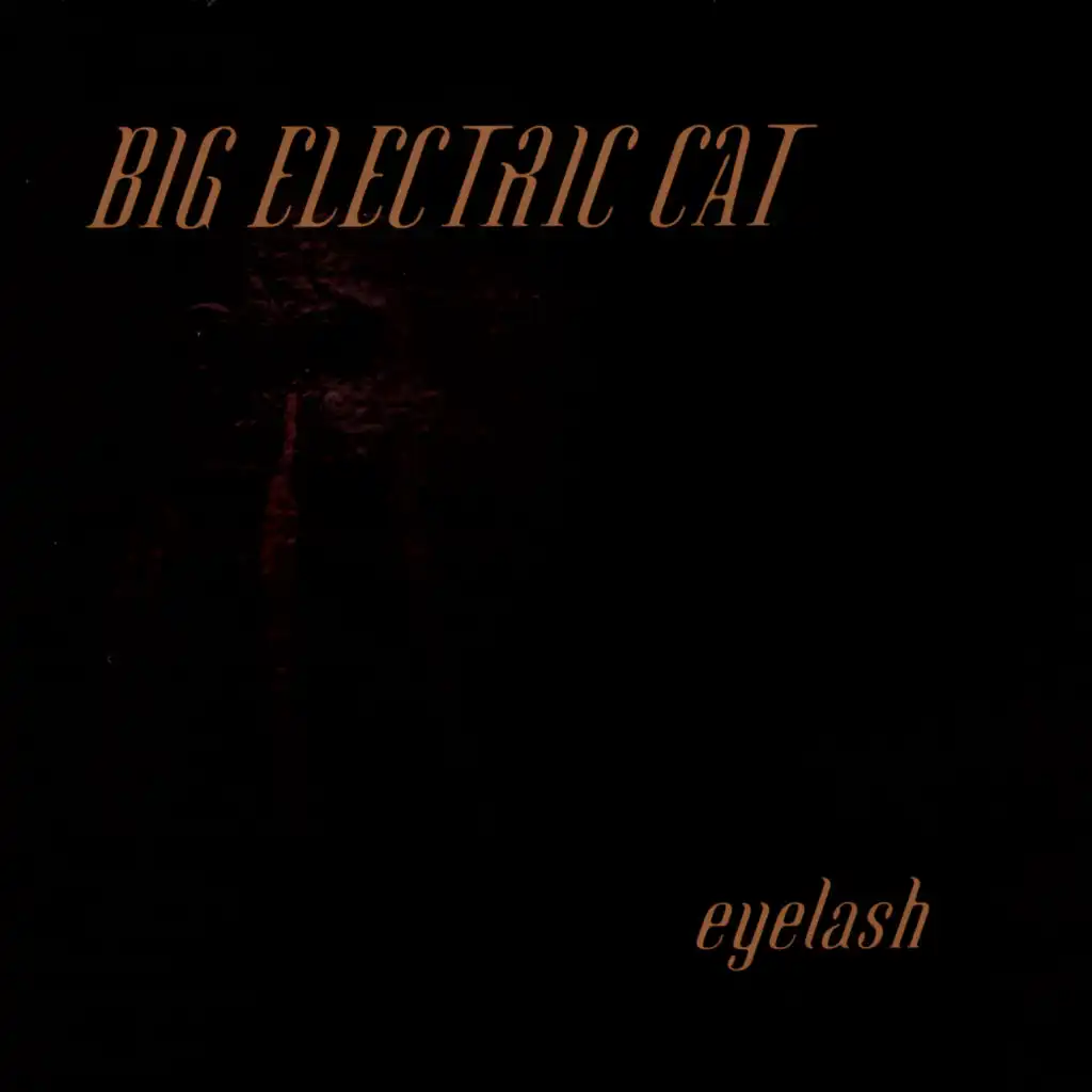 Big Electric Cat