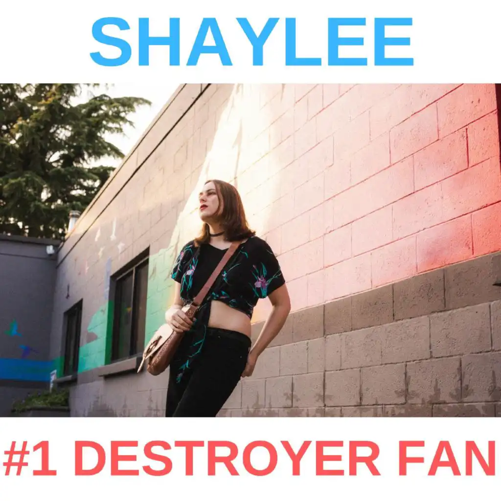 #1 Destroyer Fan