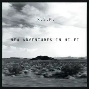 New Adventures In Hi-Fi (25th Anniversary Edition)