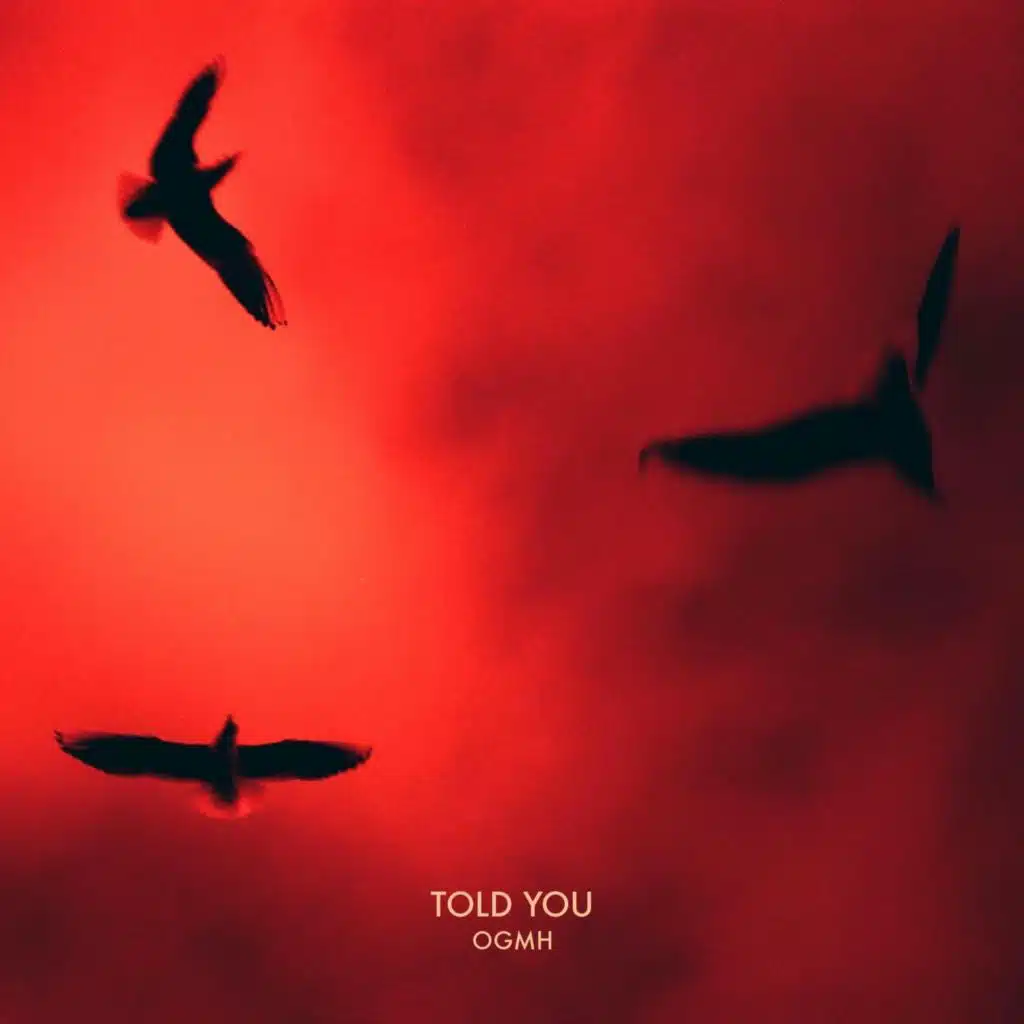 Told You (Radio Edit)