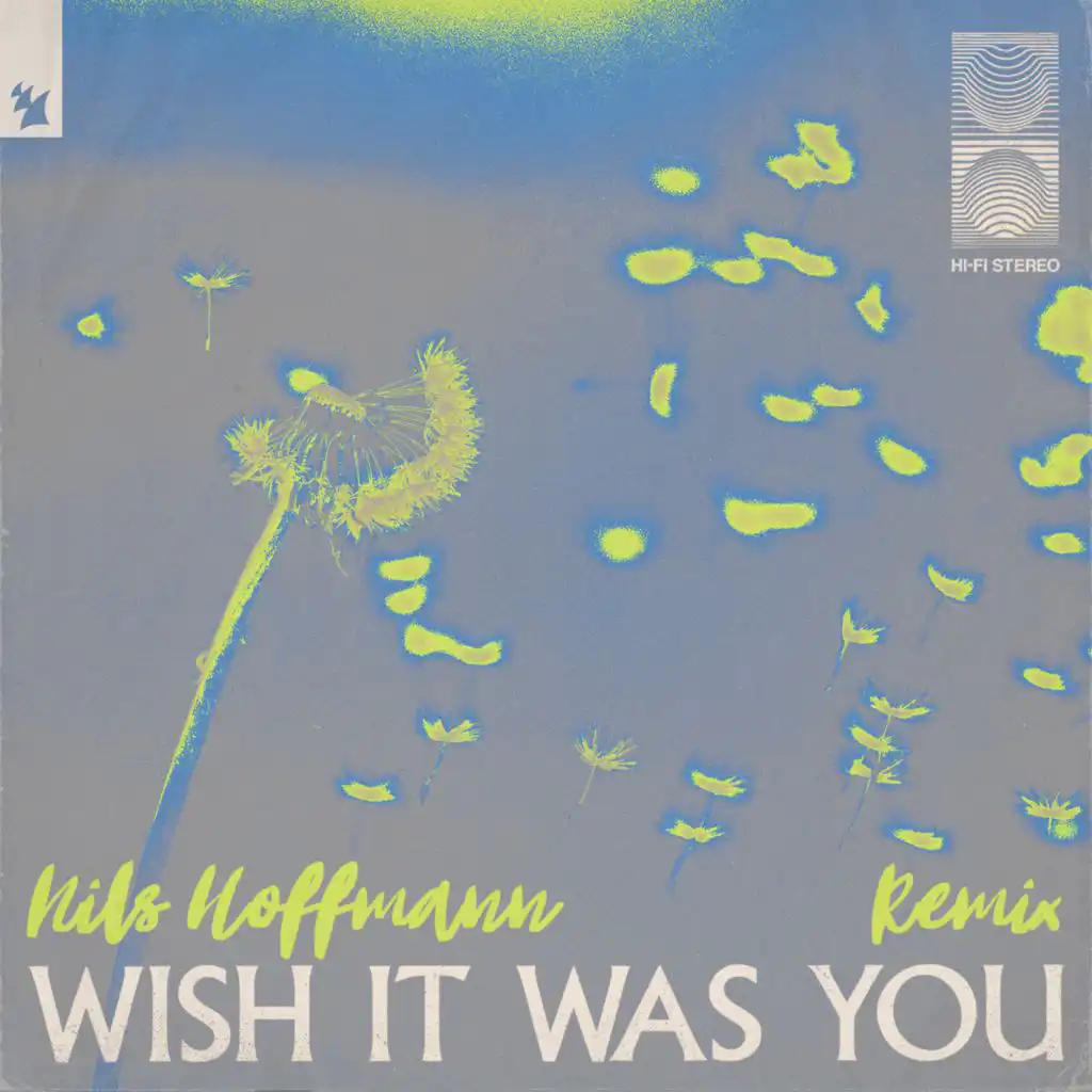 Wish It Was You (Nils Hoffmann Remix) [feat. Cate Downey]