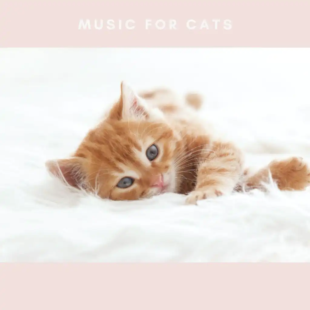 Soothing Music For Cats