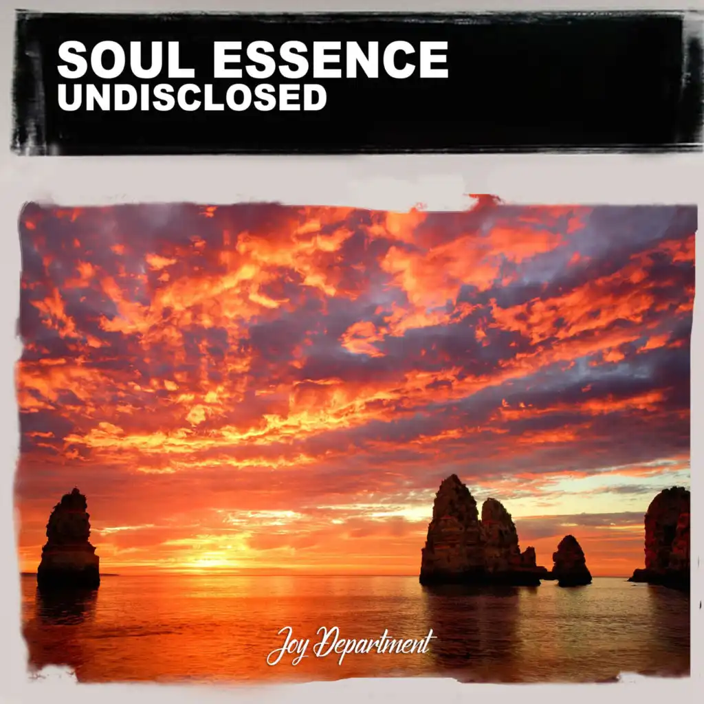 Undisclosed (Remixes)