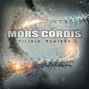 T.I.L.I.D.I.N. Remixes