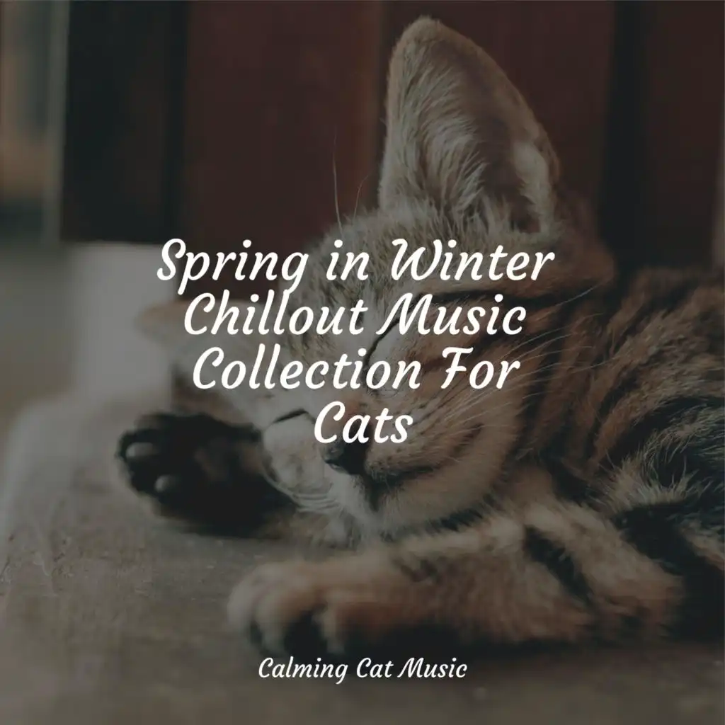 Official Pet Care Collection, Music for Cats Project, Jazz Music Therapy for Cats