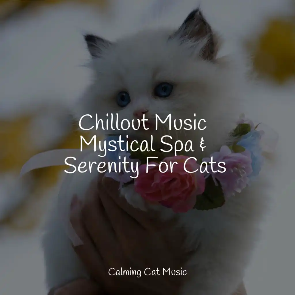 Music for Cats Project, Calm Music for Cats, Jazz Music for Cats