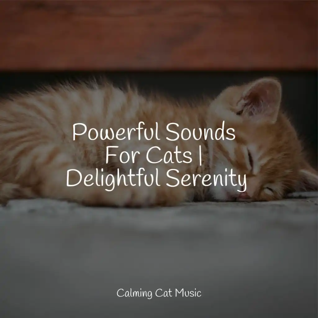 Music for Relaxing Cats, Music for Resting Cats & Music For Cats Peace