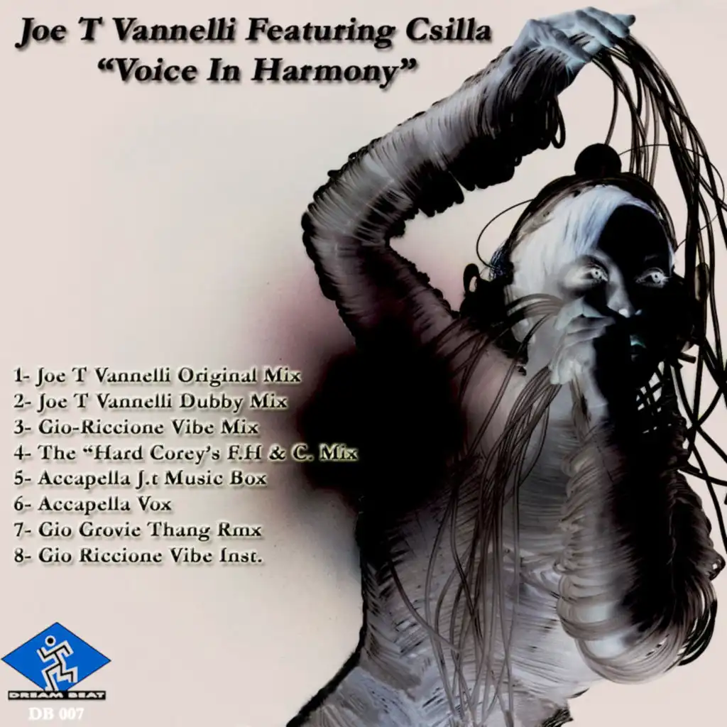 Voice in Harmony (Joe T Vannelli Original Mix) [feat. Csilla]