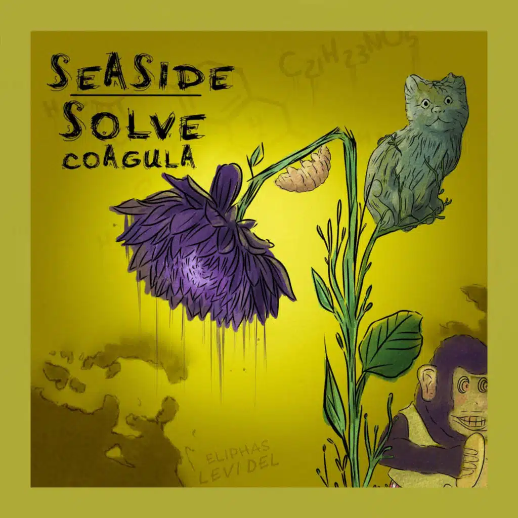 Solve Coagula
